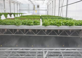 Optimize your hydroponic setup with CropKing Inc's full line of NFT ...
