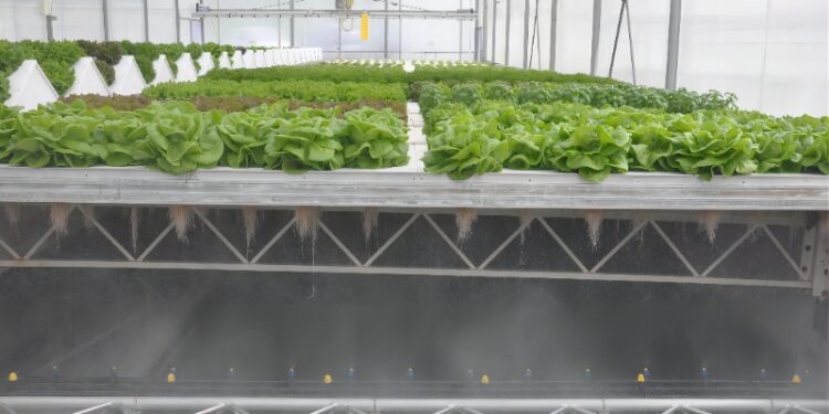 Optimize your hydroponic setup with CropKing Inc's full line of NFT ...