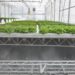Optimize your hydroponic setup with CropKing Inc's full line of NFT ...