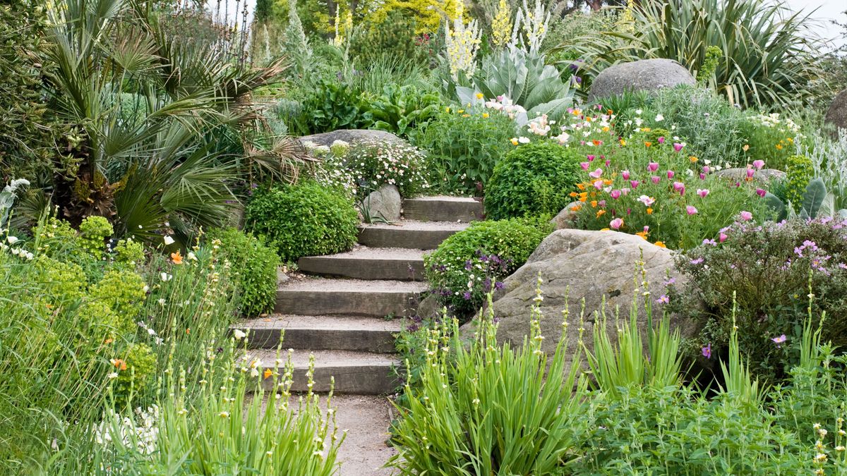 Sustainable gardens: 10 ideas for an eco-friendly space | Gardeningetc
