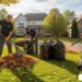 Lawn care clean up near me: Expert 2025