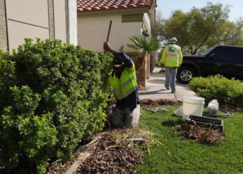 One-Time Yard Clean Up Services In Las Vegas