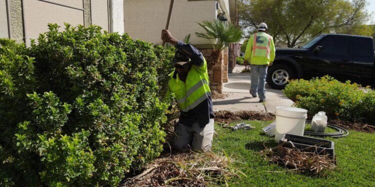 One-Time Yard Clean Up Services In Las Vegas