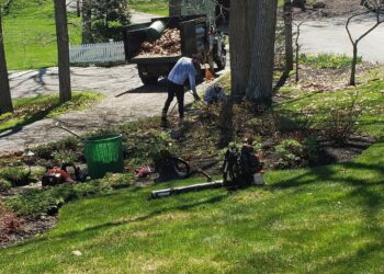 Spring Yard Work Cleaning