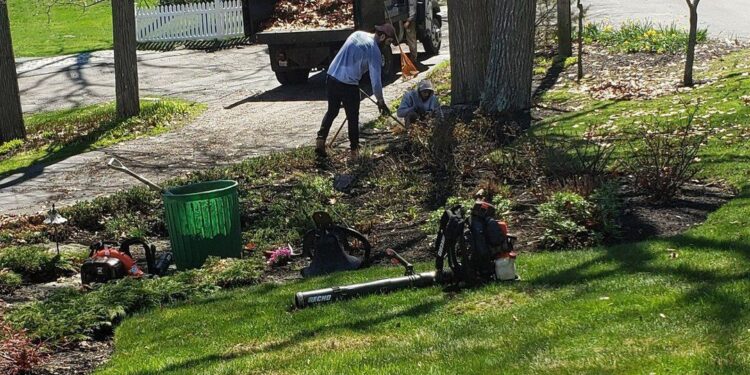 Spring Yard Work Cleaning